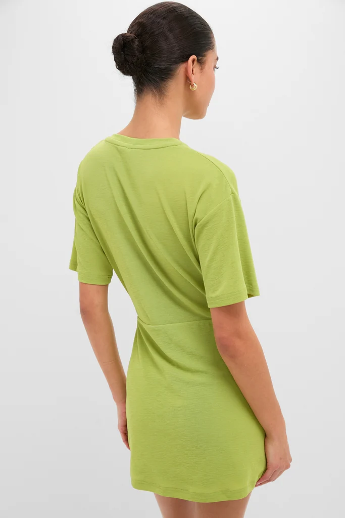 Apple Carrey Mini Dress - Image 4
