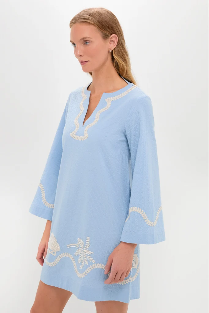 Blue Seersucker Embroidered Marcelle Dress - Image 4