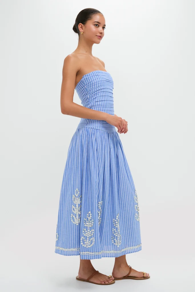Blue Stripes Malla Midi Dress - Image 4