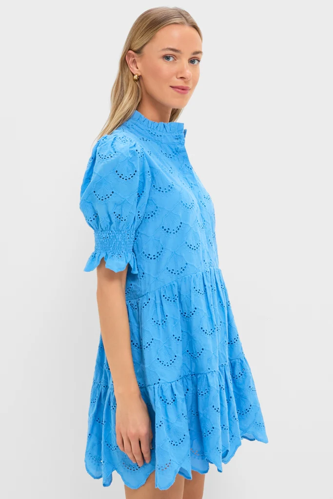 Cerulean Eyelet Bennett Mini Dress - Image 4