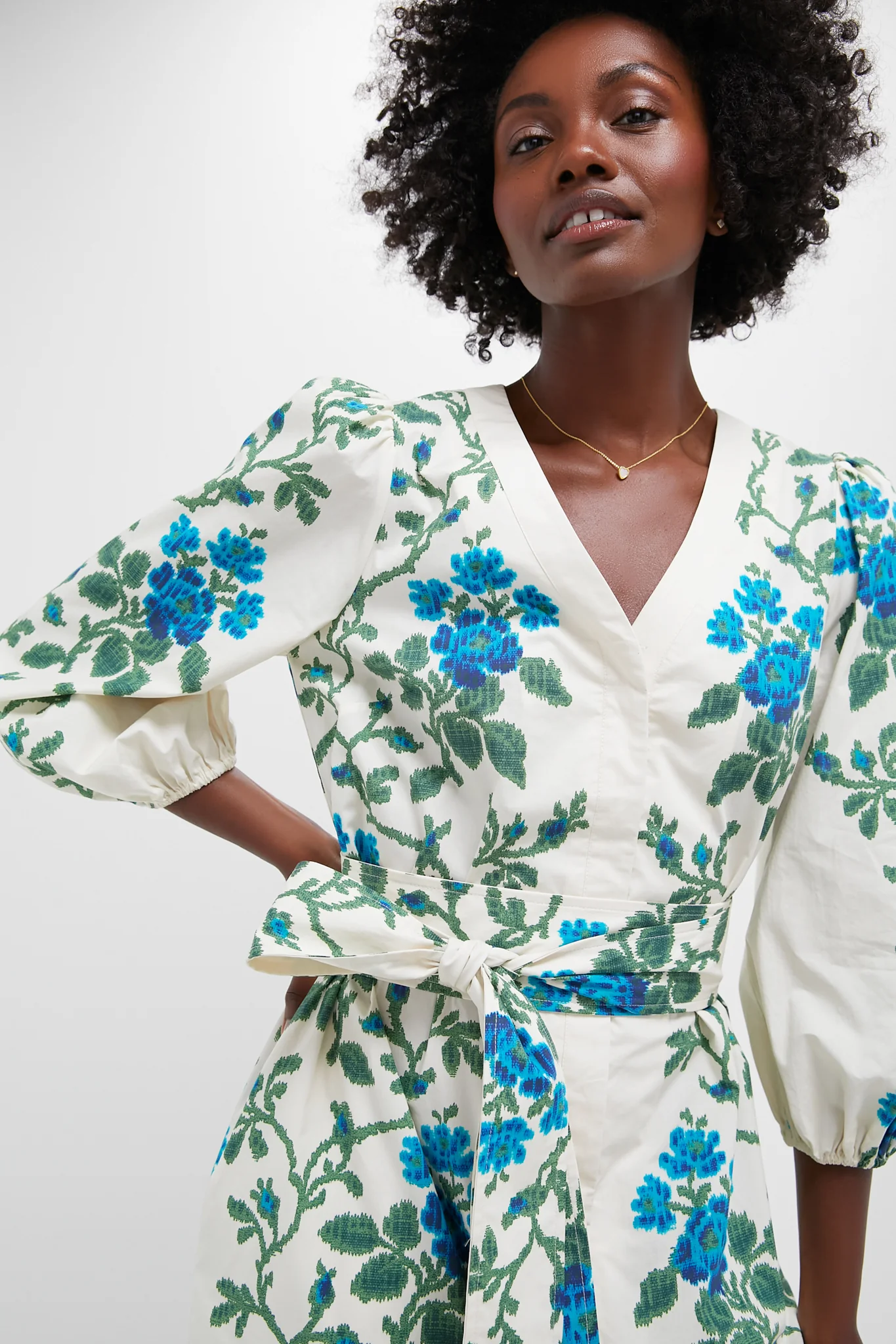 Cerulean Vine Cotton Poplin Lachlan Dress - Image 6