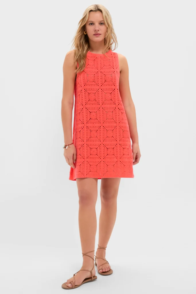 Coral Brenna Crochet Mini Dress - Image 6