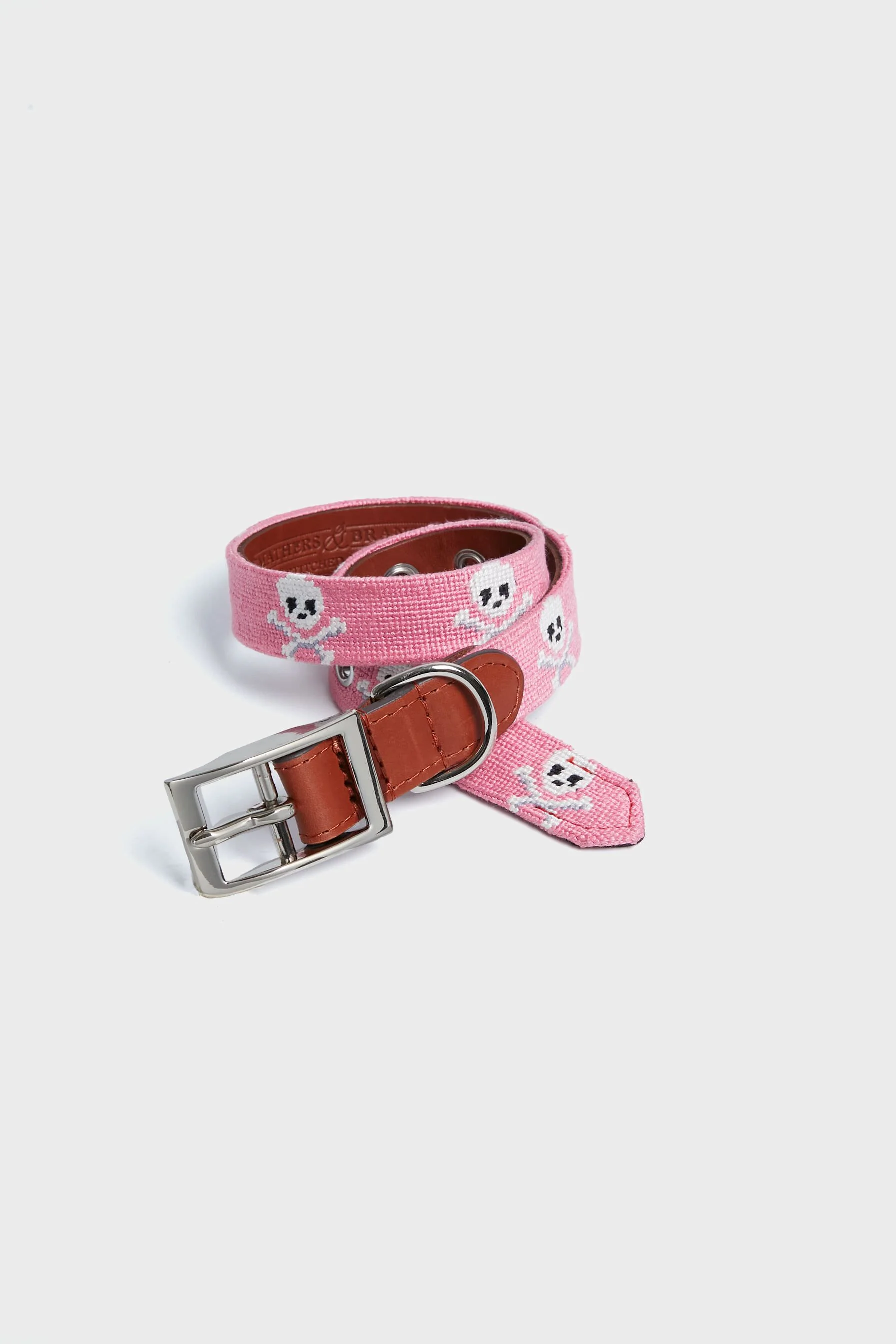 Jolly Roger Needlepoint Dog Collar