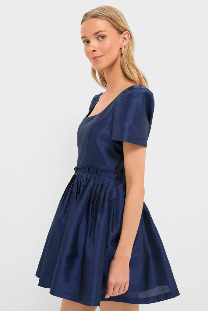 Navy Pleated Lucerne Mini Dress - Image 4