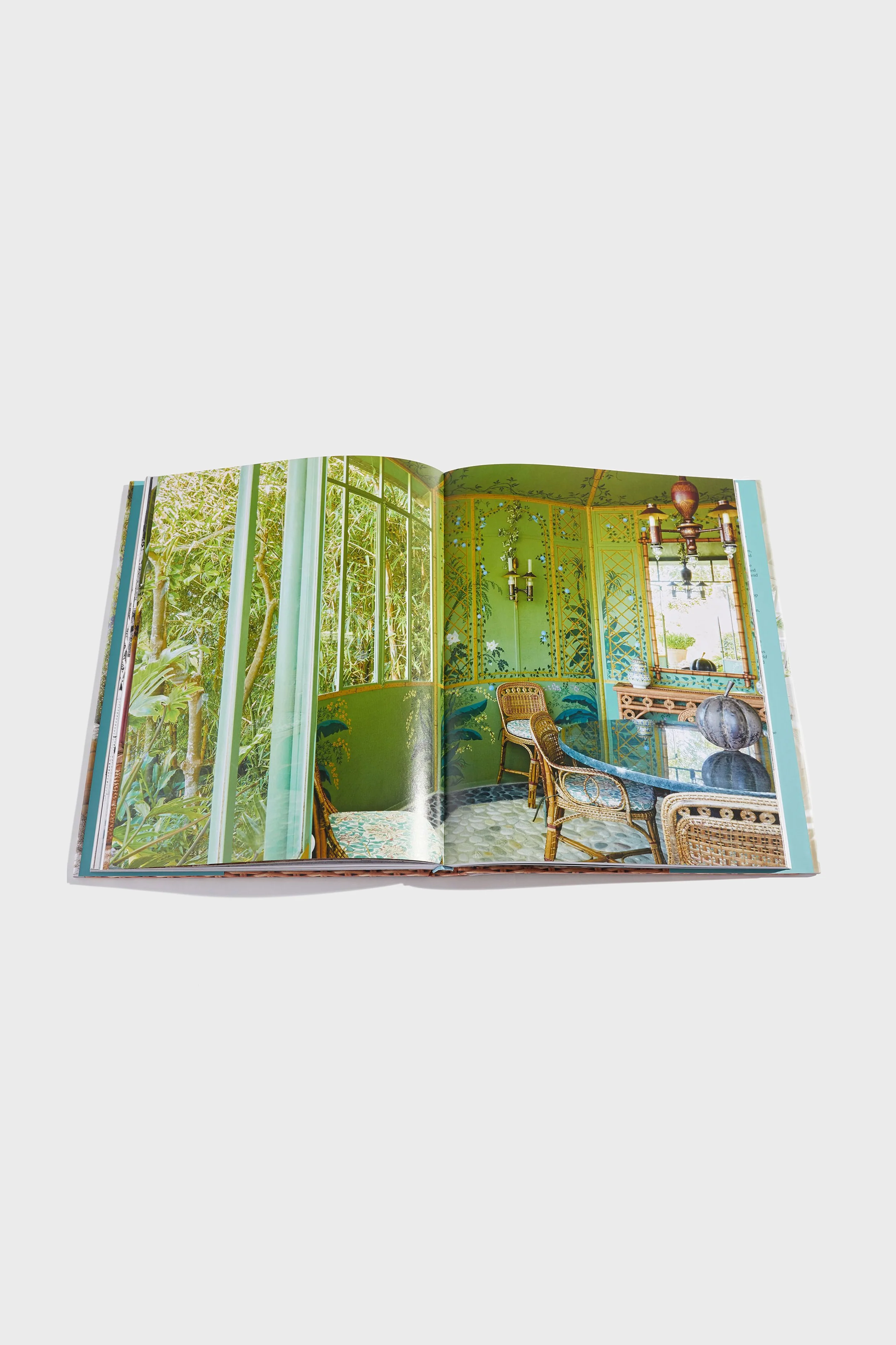 Rattan: A World of Elegance and Charm - Image 2