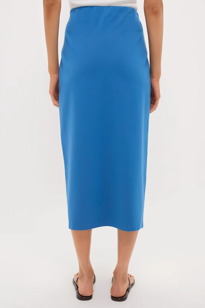 Riverside Blue Maggie Midi Skirt - Image 4