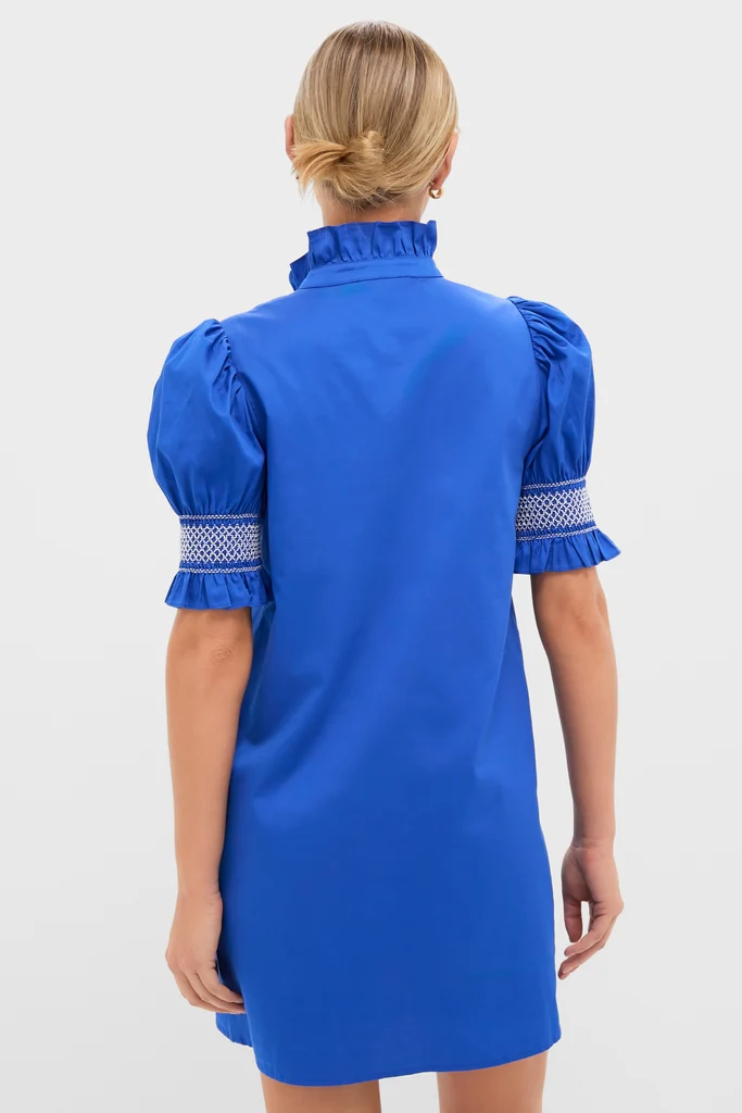 Royal Blue with White Embroidery Lou Lou Mini Dress - Image 4