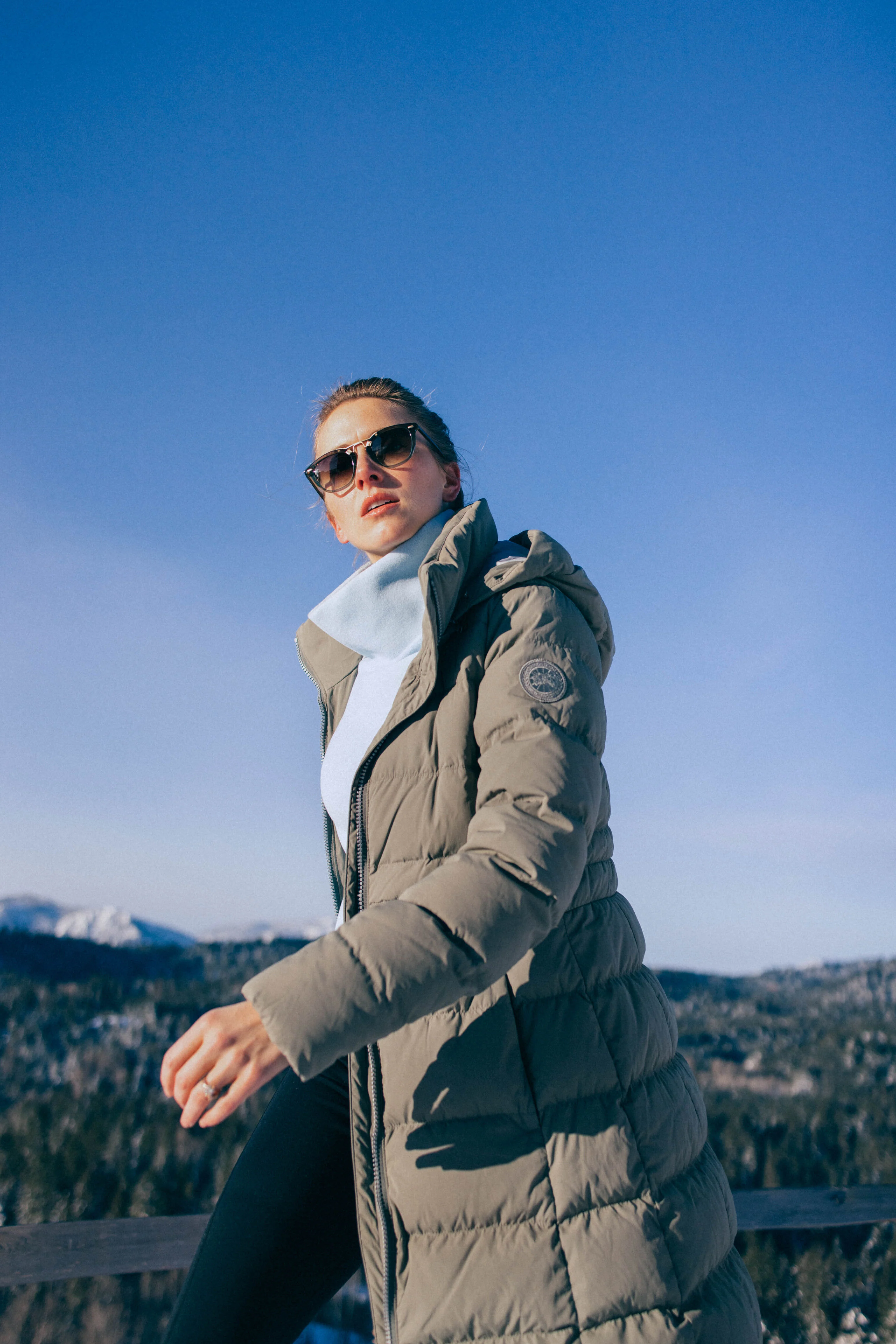 Sagebrush Aurora Parka - Image 10