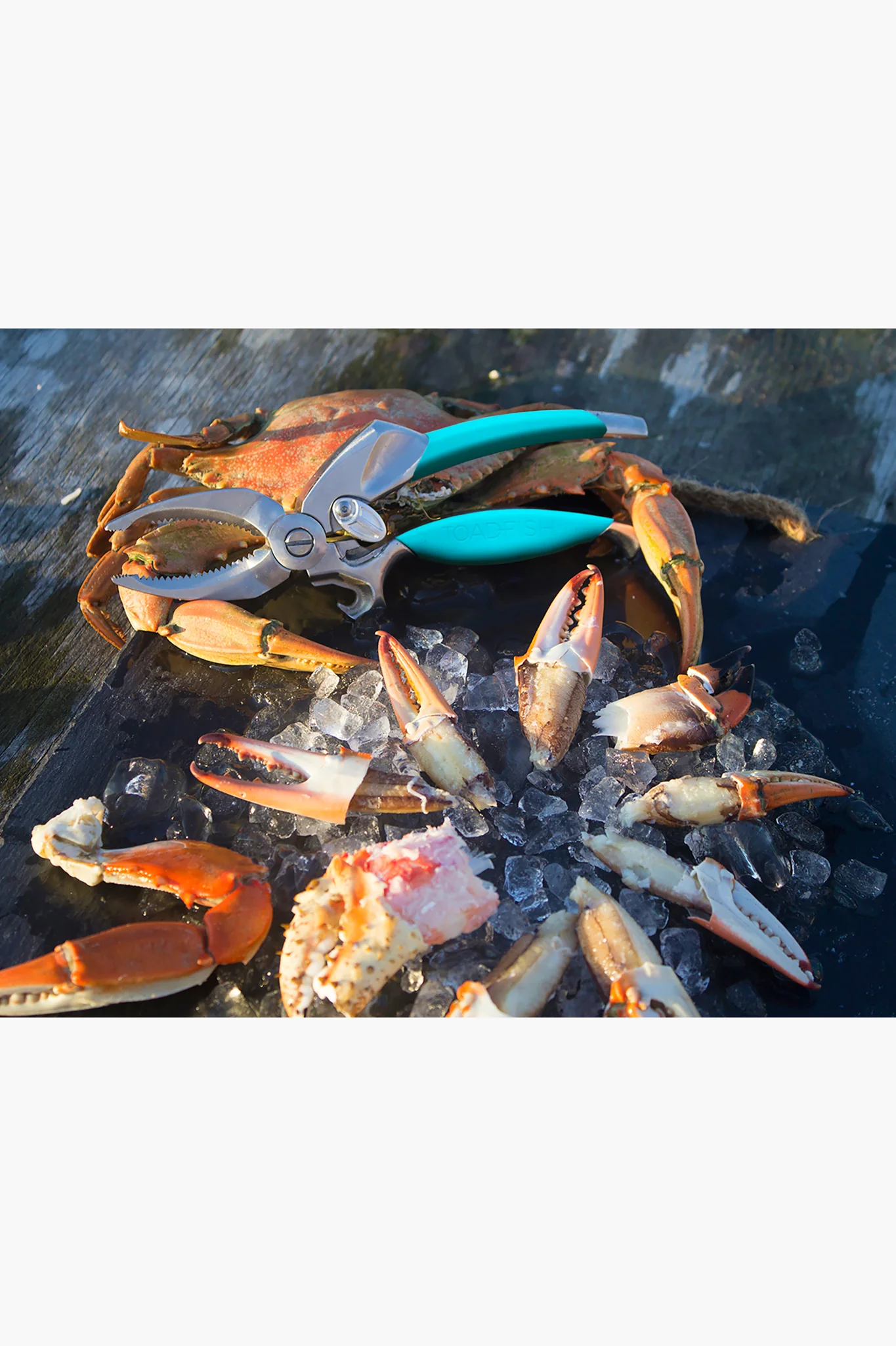 Toadfish Claw Cutter - Image 4